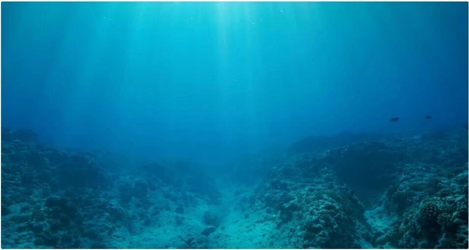 Research illustration 4