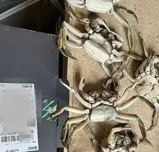 Research illustration 1