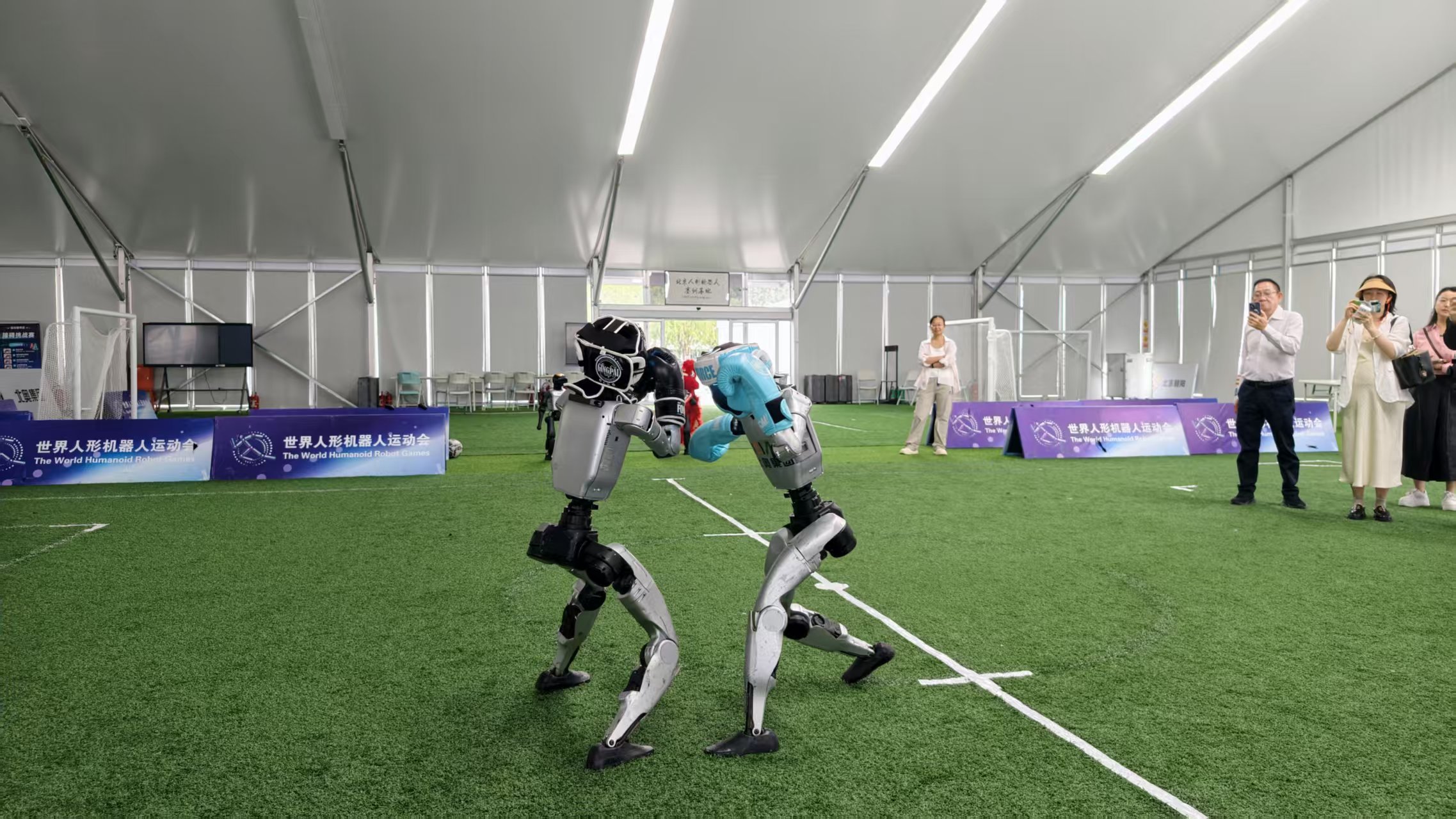 Humanoid Robot Base 1